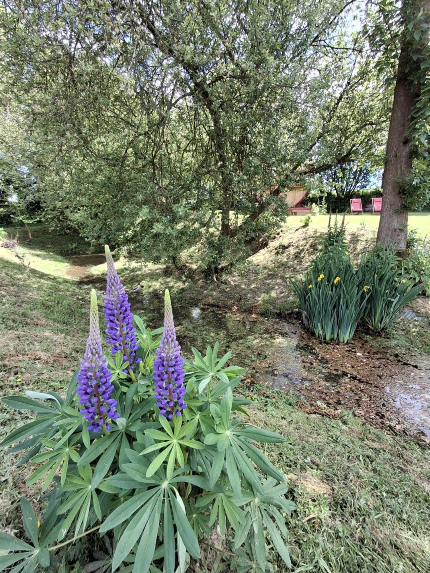 Villa L'authentique Tonneau à Cidre d'Emma Litteau Esterno foto