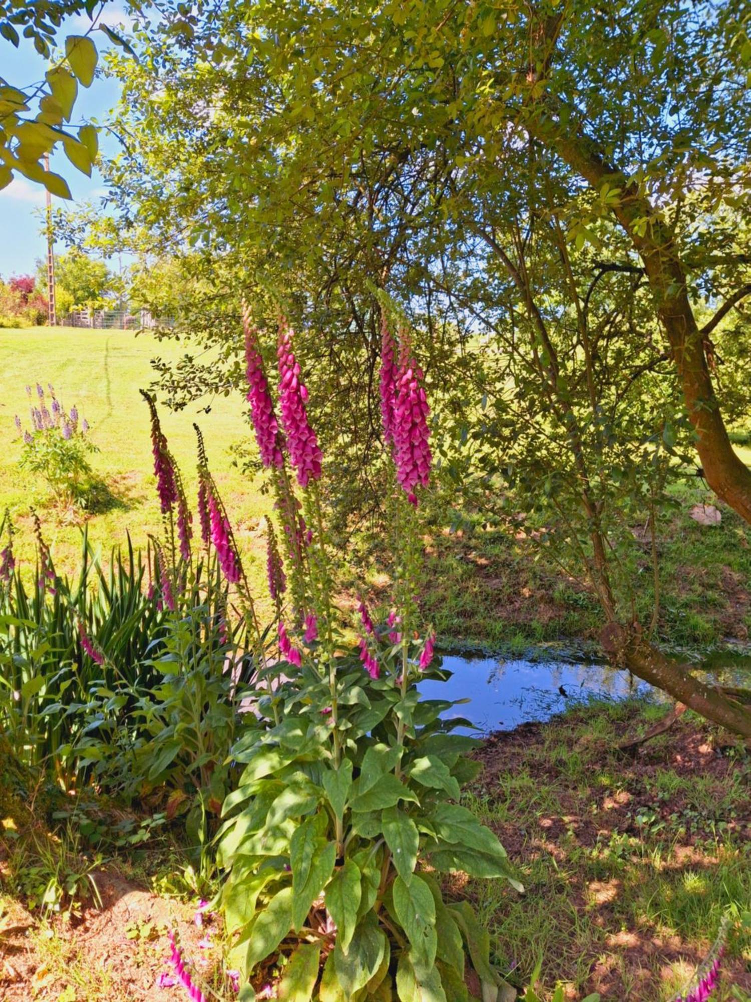 Villa L'authentique Tonneau à Cidre d'Emma Litteau Esterno foto